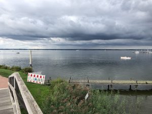 IMG_1010[1]
