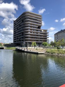 IMG_1516