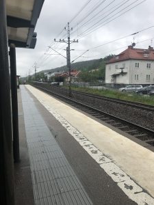 IMG_1530