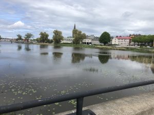 IMG_1559