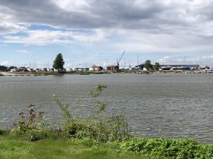 IMG_1569