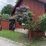 IMG_1643