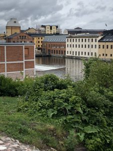 IMG_1726