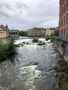 IMG_1730