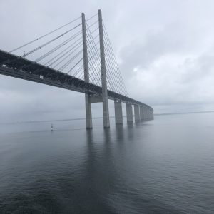 IMG_1846